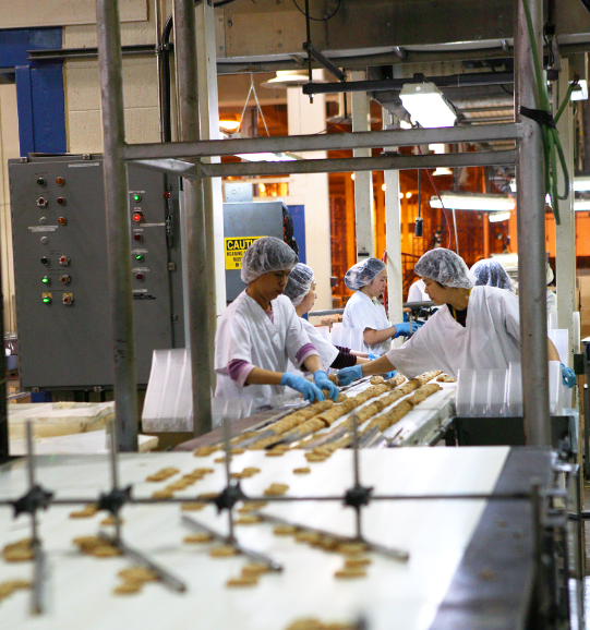 Making gluten-free cookies production line