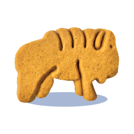 A Biscuit Image