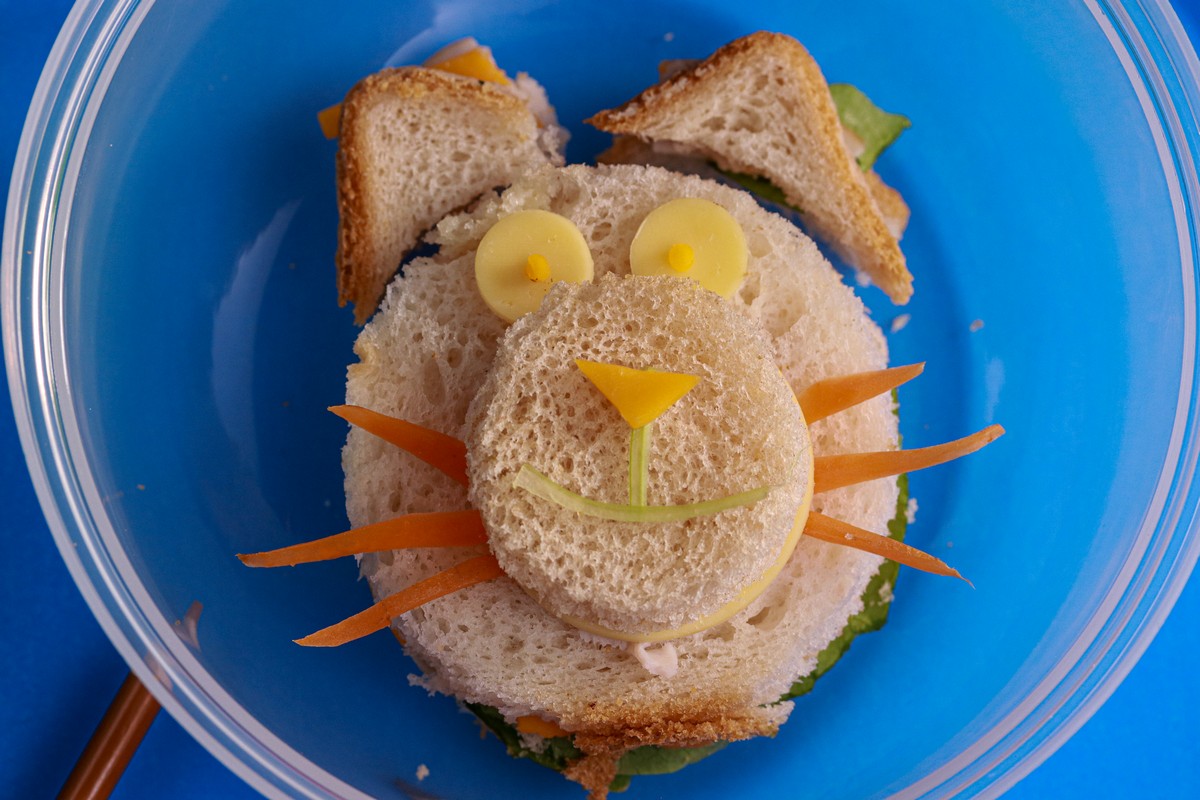 gluten-free bento back to school kitty sandwich