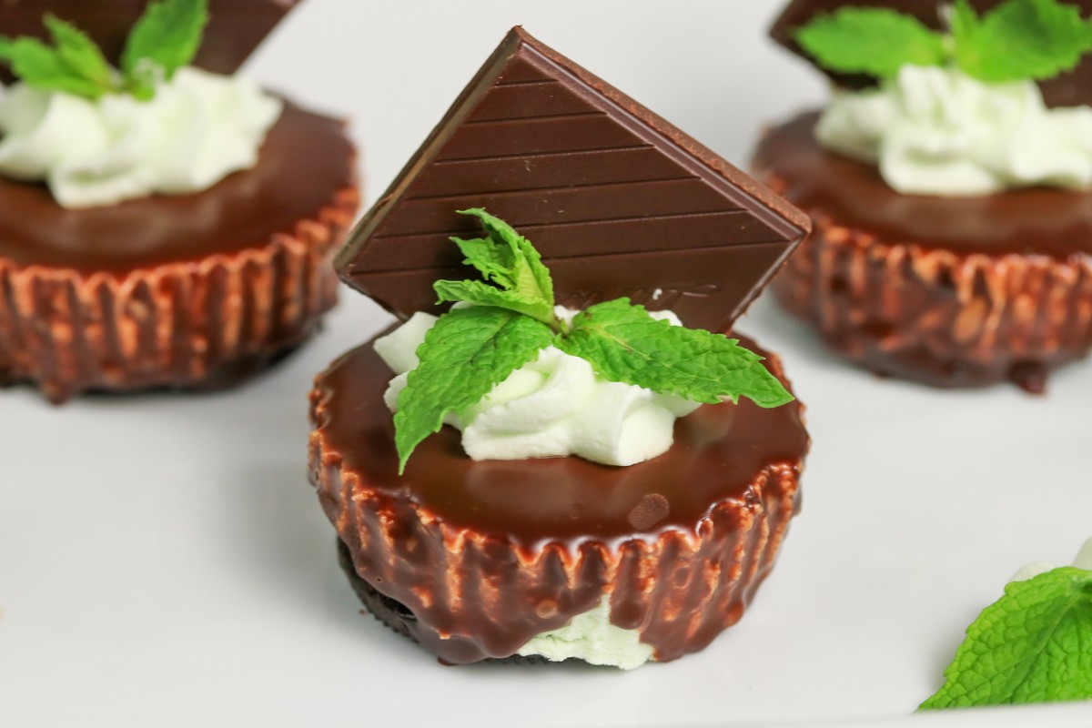 MInt Magic Mini Cheesecake gluten-free