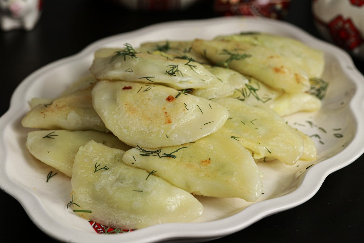 Pierogi close up made with cream cheese potato on Ukrainnian dish
