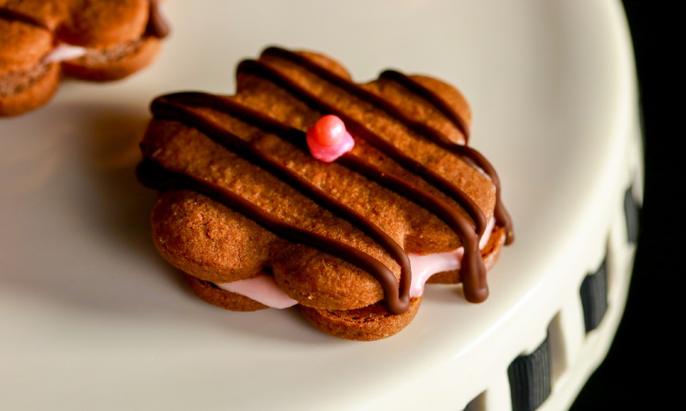 Gluten-free Raspberry Chocolate Cookies